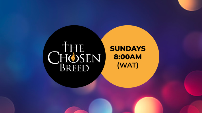 TCB-Sundays-min TCB-Sundays-min